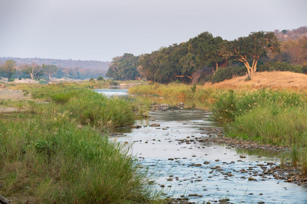 Pondoro Game Lodge - All Inclusive Balule Game Reserve Esterno foto